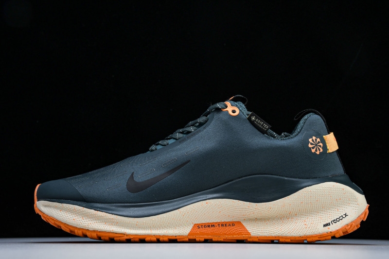 Nike ReactX Infinity RN 4 Gore-TEX