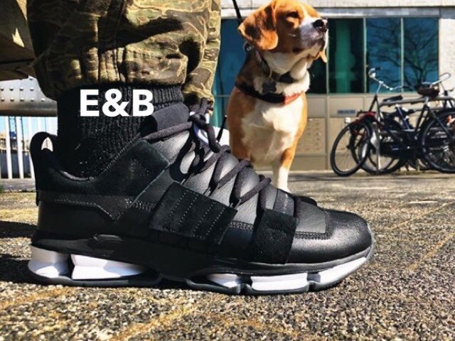 Adidas Consortium Twinstrike ADV