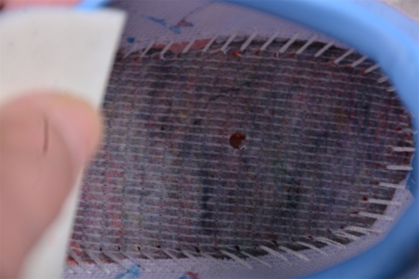 Adidas Handball Spezial IG1974 