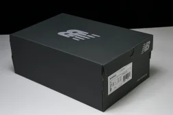 New Balance 1906 M1906RCO 