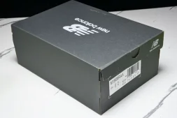 New Balance 1906 M1906RAA