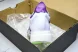 Adidas Adizero Adios Pro 4 M JR1656 