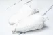 Puma Speedcat 398847 02 