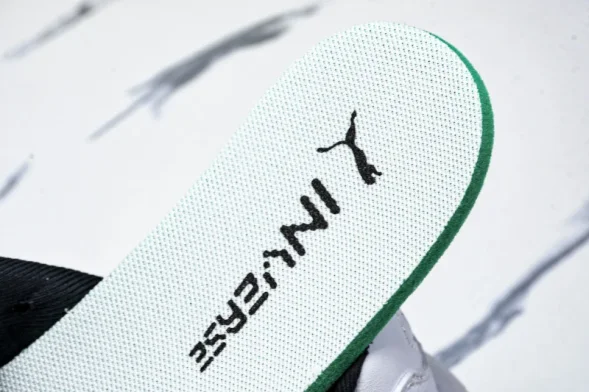 Puma Inverse Rev 402356 01  