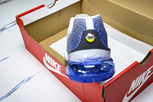 Nike Air Max Phoenix FZ5307-101 