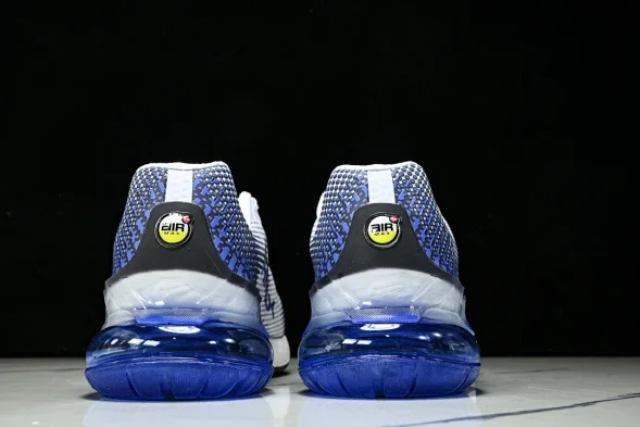 Nike Air Max Phoenix FZ5307-101 