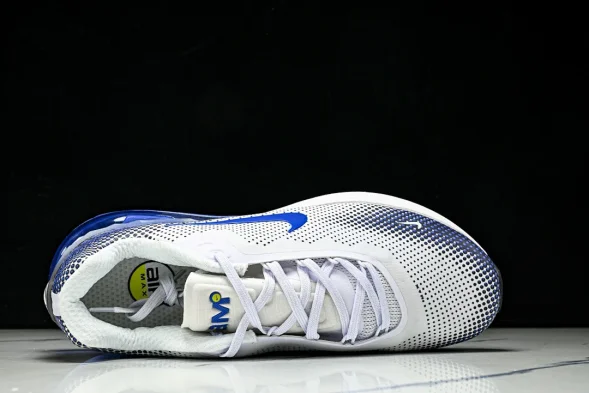 Nike Air Max Phoenix FZ5307-101 