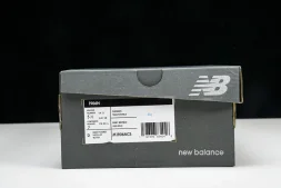 New Balance 1906 M1906NCS 