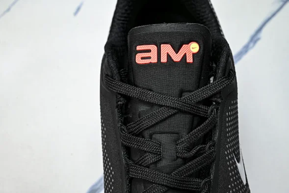 Nike Air Max Phoenix FZ5307-003 