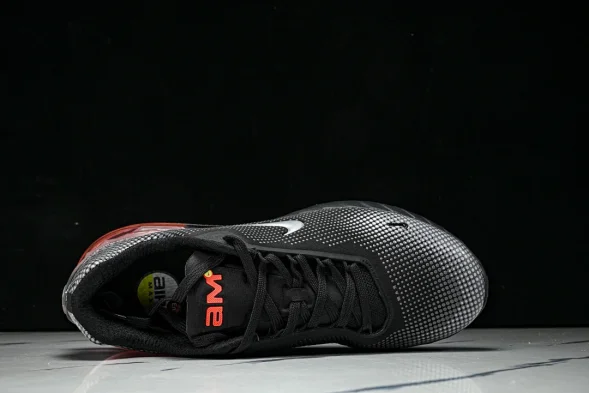 Nike Air Max Phoenix FZ5307-003 