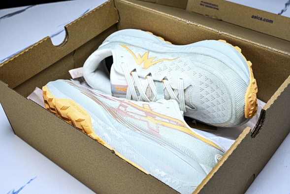 Asics Trabuco Max 4 1012B769-100 