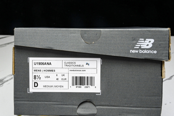 New Balance 1906 M1906ANA 