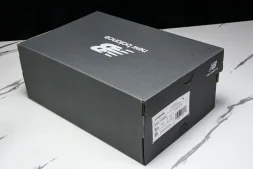 New Balance 1906 M1906ANA