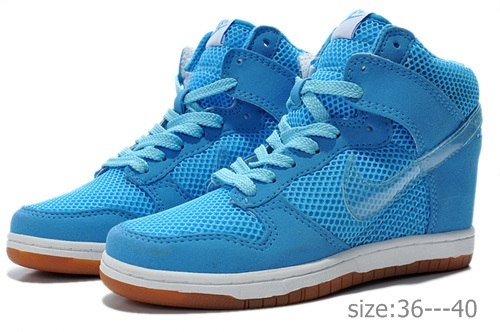 Nike Wmns Dunk Sky  