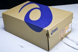 Asics Gel-kayano 31 1012B794-100