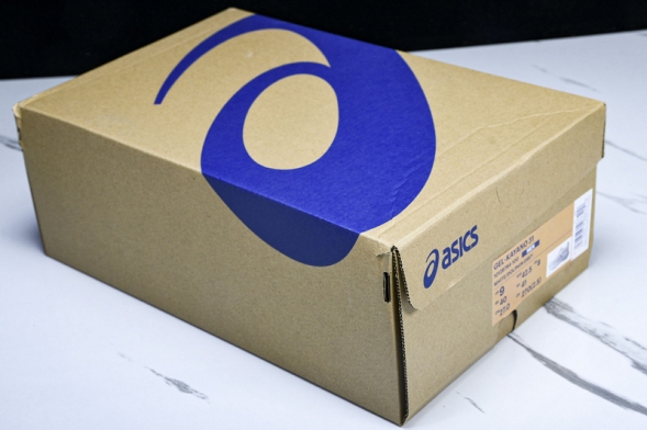 Asics Gel-kayano 31 1012B794-100 