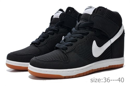 Nike Wmns Dunk Sky  