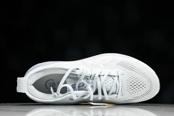 Asics Gel-kayano 31 1012B670-021 