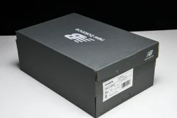 New Balance 1906 M1906RFB
