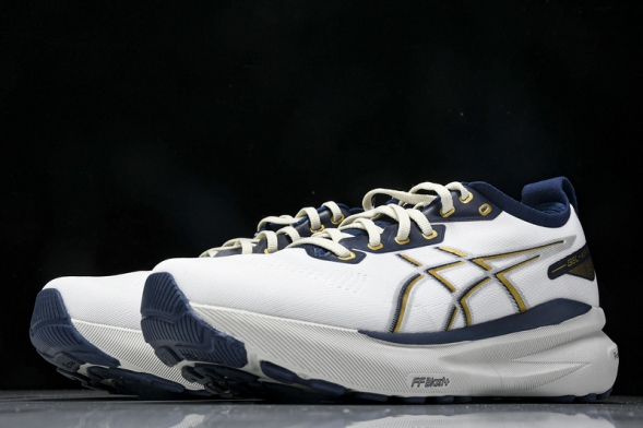 Asics Gel-kayano 31 1011B955-100 