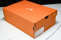 Nike Journey Run FJ7765 100