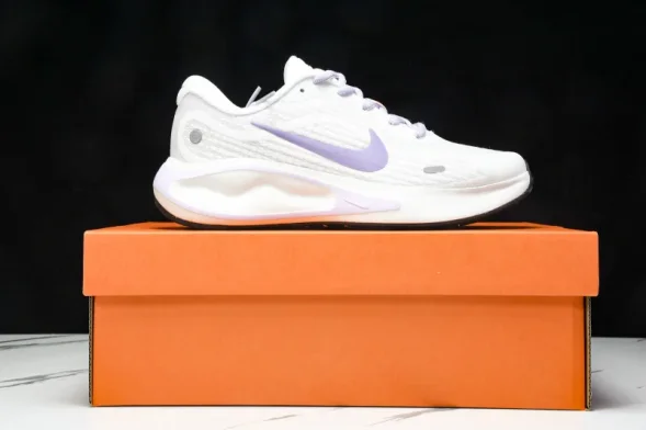 Nike Journey Run FJ7765 100 