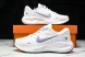Nike Journey Run FJ7765 100 