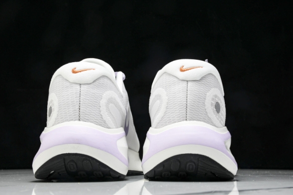 Nike Journey Run FJ7765 100 