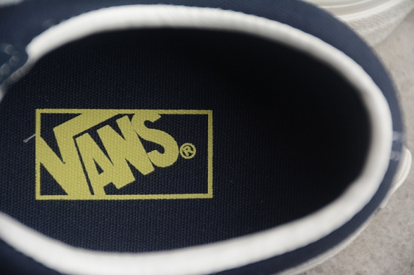 Vans Style 36 Suede VN0A3DZ3RFL 