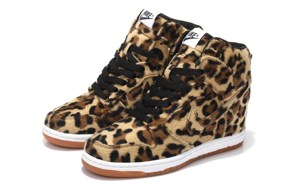 WMNS Nike Dunk Sky Hi SB 