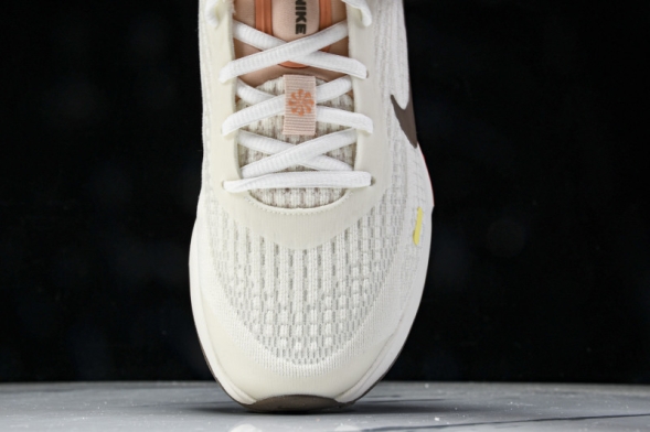 Nike Journey Run IB4663-121 