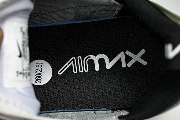 Nike Air Max 270 AH8050 100 