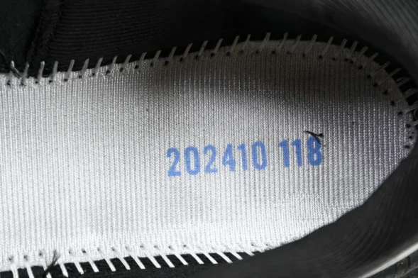 Mizuno Astro Plus D1GH240101 