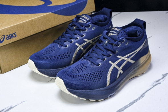 Asics Gel-kayano 31 1012B960-400  