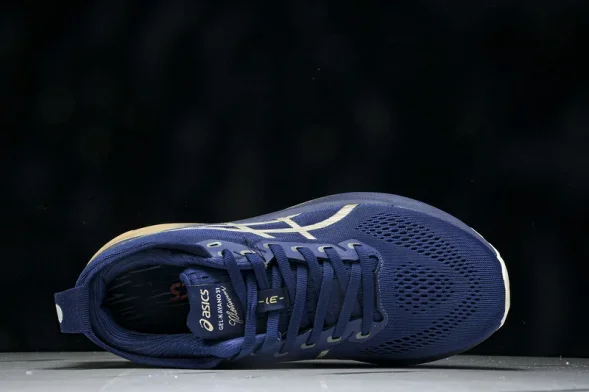 Asics Gel-kayano 31 1012B960-400  