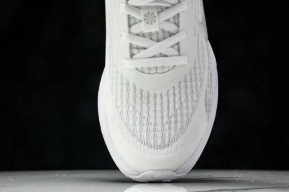 Nike Journey Run FJ7765 102 