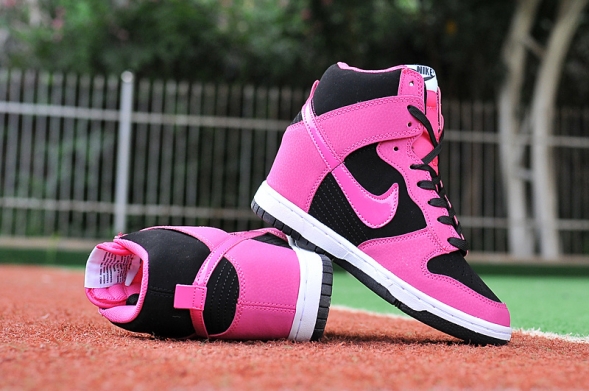 WMNS Nike Dunk Sky Hi SB  