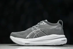 Asics Gel-kayano 31 1012B671-020