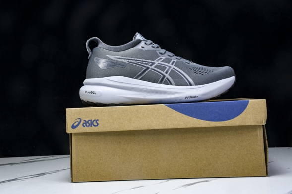 Asics Gel-kayano 31 1012B671-020  