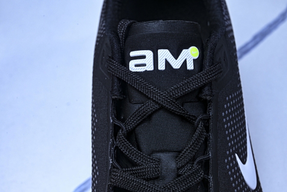 Nike Air Max Phoenix FZ5307-103 