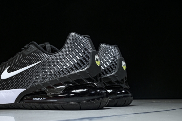 Nike Air Max Phoenix FZ5307-103 