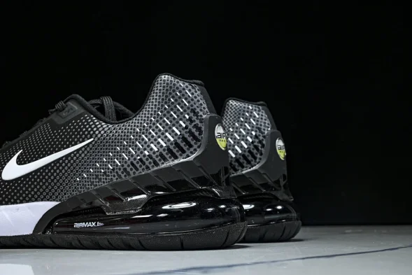 Nike Air Max Phoenix FZ5307-103 