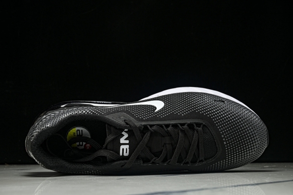 Nike Air Max Phoenix FZ5307-103 