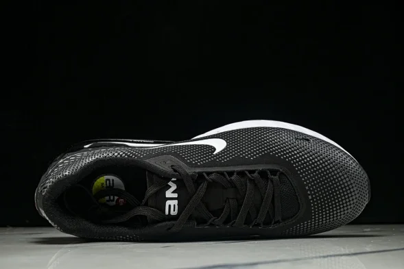 Nike Air Max Phoenix FZ5307-103 