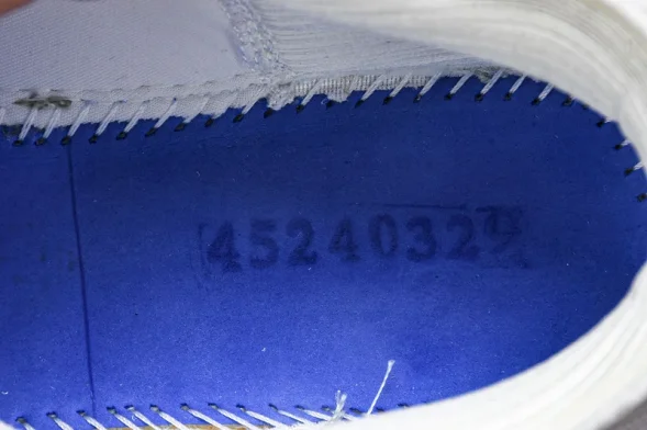 Asics Gel-kayano 31 1012B670-100 