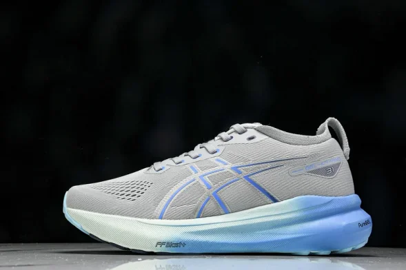 Asics Gel-kayano 31 1012B670-022 