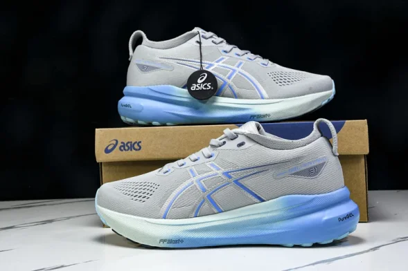 Asics Gel-kayano 31 1012B670-022 