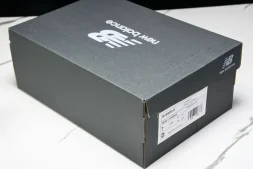 New Balance 1906 M1906RLB