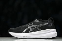 Asics Gel-kayano 31 1012B670-002