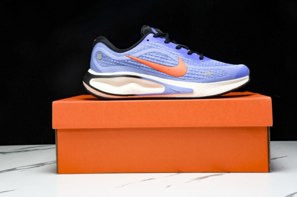 Nike Journey Run FN0228 400 